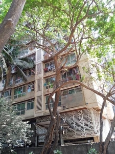 800 sq ft 2 BHK 2T Apartment for rent in Mahindra Mahindra Park at Ghatkopar West, Mumbai by Agent Silver stone