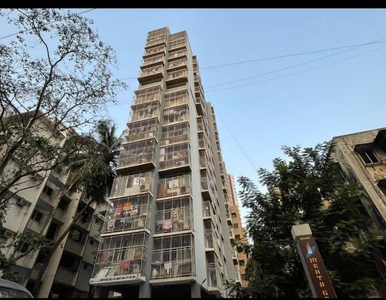 800 sq ft 2 BHK 3T Apartment for rent in Mehta Amrut Tara at Kandivali West, Mumbai by Agent shree ji estate consultant