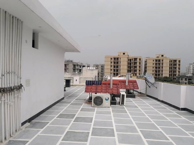 900 sq ft 2 BHK 2T Apartment for rent in Project at Sector 19 Dwarka, Delhi by Agent seller