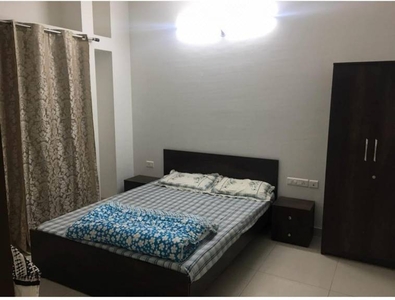 950 sq ft 2 BHK 2T Apartment for rent in Paranjape Blue Ridge at Hinjewadi, Pune by Agent Akshay Rathod