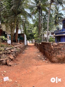 House for sale near medical college, velliparamb