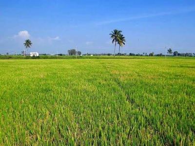 Commercial Land 152460 Sq.Ft. in Barhi Sonipat