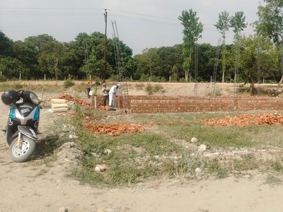 New Plotting 50 Bigha Society In Chota Rampur Near Sara Industries Only 7.5k Per Gaz