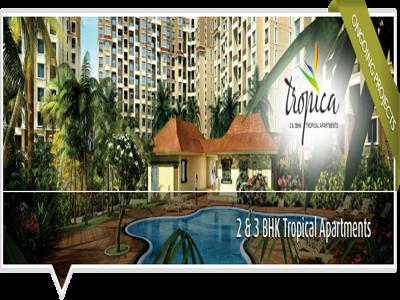 OM Developers Tropica