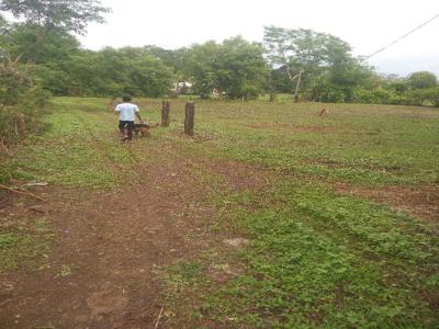 Agricultural Land 10 Acre for Sale in Bilkisganj, Sehore