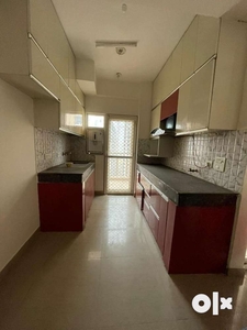 French apartment 2bhk + study semi flat for rent