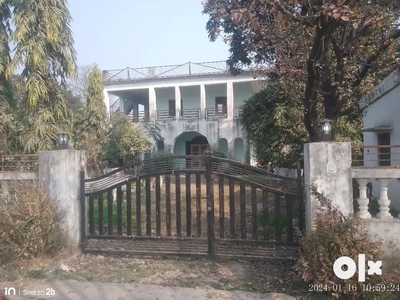 House and land 1 bigha 16 biswa for sale/lease on NH misserwala