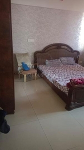 1 BHK Flat for rent in Hinjewadi, Pune - 575 Sqft