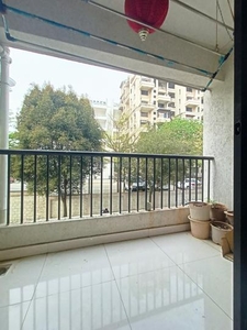 1 BHK Flat for rent in Magarpatta City, Pune - 560 Sqft