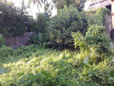 Plot For Sale in