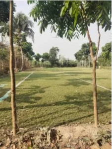 1089 sq ft Plot for sale at Rs 8.80 lacs in Project in Ulwe, Mumbai