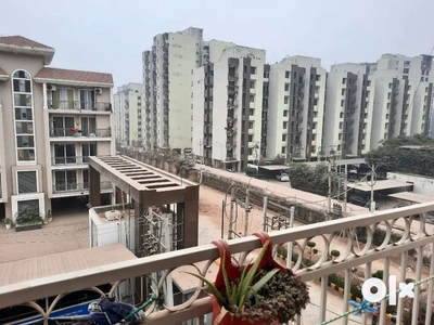 1bhk flat for rent, 1bhk apartment for rent, 1BHK FLAT ON RENT, 1 bhk
