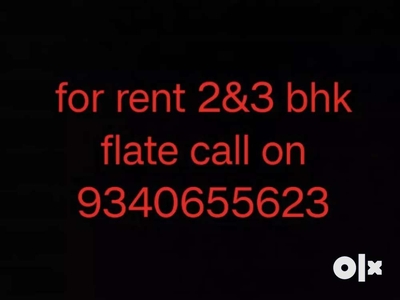 2 3 bhk semi furniture and furnished flats are available