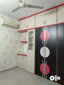 2 Bhk fully furnished luxurious appartment available for rent
