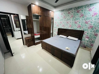 2BHK LUXURY FULLY FURNISHED FLAT FOR RENT
