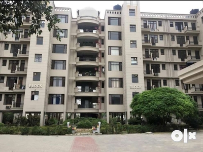 3 bhk flat fully furnished in Shivalik tower sec 127