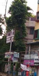 3000 sq ft 5 BHK Villa for sale at Rs 2.45 crore in RRT 22 C A Vilaa in Alipore, Kolkata