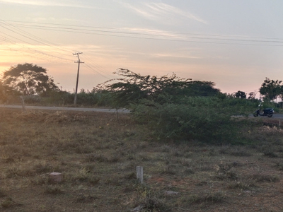 Agricultural Land 1 Acre for Sale in Palamedu, Madurai