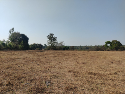 Agricultural Land 2 Acre for Sale in Mudigere, Chikmagalur