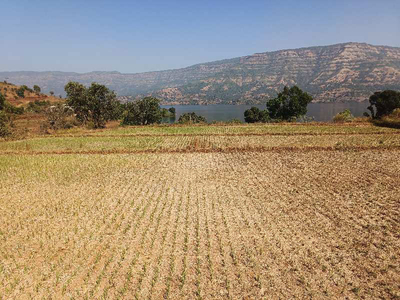 Agricultural Land 20 Guntha for Sale in