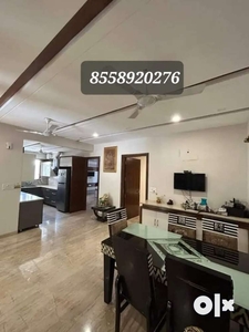 Brand new 2bhk full furnish all new for rent in sector 34 chandigarh