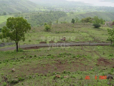 Commercial Land 45000 Sq.Ft. in Chovisawadi Pune
