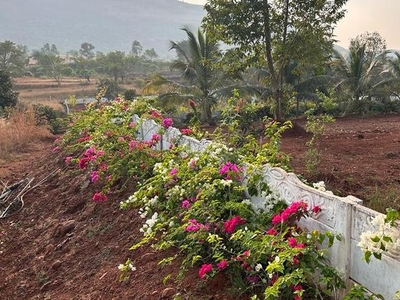 Suprriya Orchard Farm