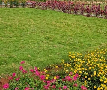 Hari Chandana Agro Park