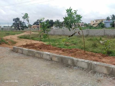 1224 sq ft East facing Plot for sale at Rs 18.36 lacs in ADJACENT TO MEERKHANPET VILLAGE PLOTS FOR SALE in Mirkhanpet, Hyderabad