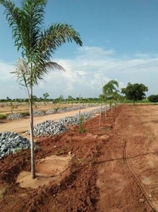 1320 sq ft Plot for sale at Rs 12.54 lacs in TSK Sri Tulasi Nivas in Ameenpur, Hyderabad
