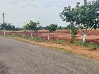 1494 sq ft East facing Plot for sale at Rs 11.62 lacs in DTCP APPROVED PLOTS AT KANDUKUR in Kandukur, Hyderabad