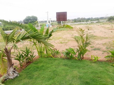 1620 sq ft East facing Plot for sale at Rs 19.79 lacs in Glentree Pharma County in Yacharam, Hyderabad