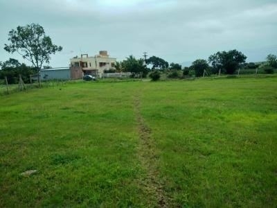1680 sq ft NorthEast facing Plot for sale at Rs 13.84 lacs in Urbana Hyde Park in Kondapur, Hyderabad