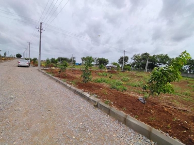 2034 sq ft Launch property Plot for sale at Rs 24.86 lacs in Bhuvisri Nature City in Peddapur, Hyderabad