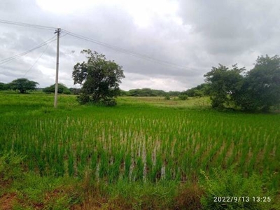 2250 sq ft East facing Plot for sale at Rs 15.00 lacs in 100ACRES FARMPLOTS FOOR SALE AT MANSANPALLY in Maheshwaram, Hyderabad