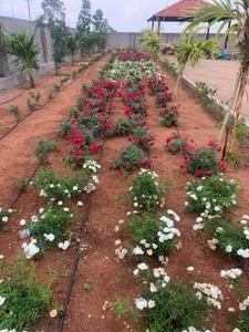 4995 sq ft NorthEast facing Plot for sale at Rs 38.85 lacs in Fortune farm valley in Maheshwaram, Hyderabad