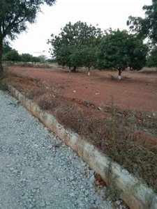 5445 sq ft North facing Plot for sale at Rs 7.50 lacs in avenues infra narayankhed in Narayankhed, Hyderabad