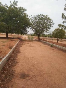 900 sq ft Plot for sale at Rs 4.00 lacs in dtcp approved layout in Warangal Highway Aler, Hyderabad
