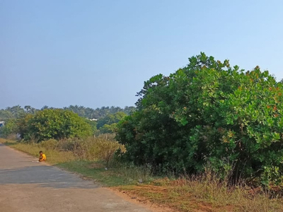 Agricultural Land 1 Acre for Sale in Achutapuram, Visakhapatnam