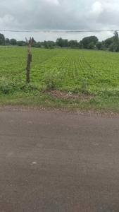 Agricultural Land 1 Acre for Sale in