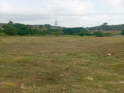 Agricultural Land 1 Acre for Sale in Uddanapalli, Krishnagiri