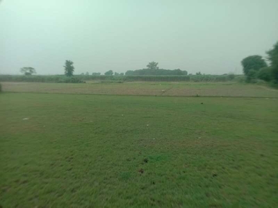 Agricultural Land 10 Bigha for Sale in Jhajhar, Gautam Buddha Nagar