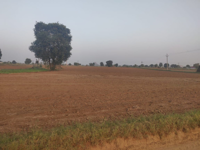 Agricultural Land 10 Bigha for Sale in Kishangarh, Alwar