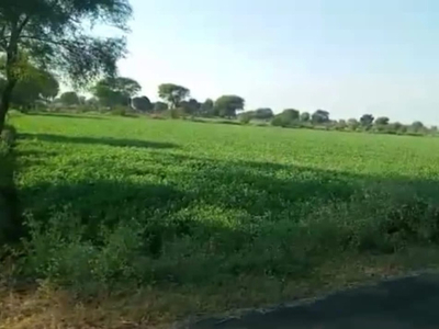 Agricultural Land 100 Bigha for Sale in Mirganj, Bareilly
