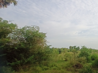 Agricultural Land 108 Acre for Sale in