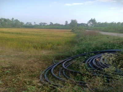Agricultural Land 11 Acre for Sale in Nagina, Bijnor