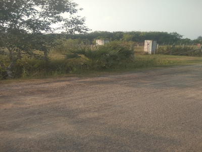 Agricultural Land 11 Acre for Sale in Vandavasi, Chennai
