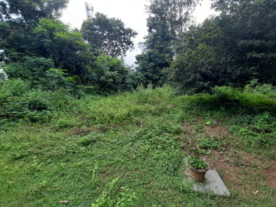 Agricultural Land 11 Dismil for Sale in Athagad, Cuttack