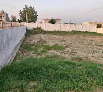 Agricultural Land 1200 Sq. Yards for Sale in