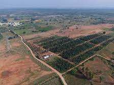 Agricultural Land 121 Sq. Yards for Sale in Shabad, Rangareddy
